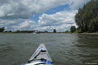 Vor der Bronkhorster Fähre geht es lange geradeaus, bevor sich die Ijssel zu einer großen 180-Grad-Schleife nach Osten wendet.
