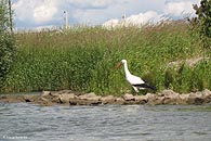So ein alter Kahn als schwimmende Basisstation fr Gepäckfahrten: das wär's.