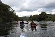 Weinberge s&auml;umen unseren Weg durch das Tal der Saar.